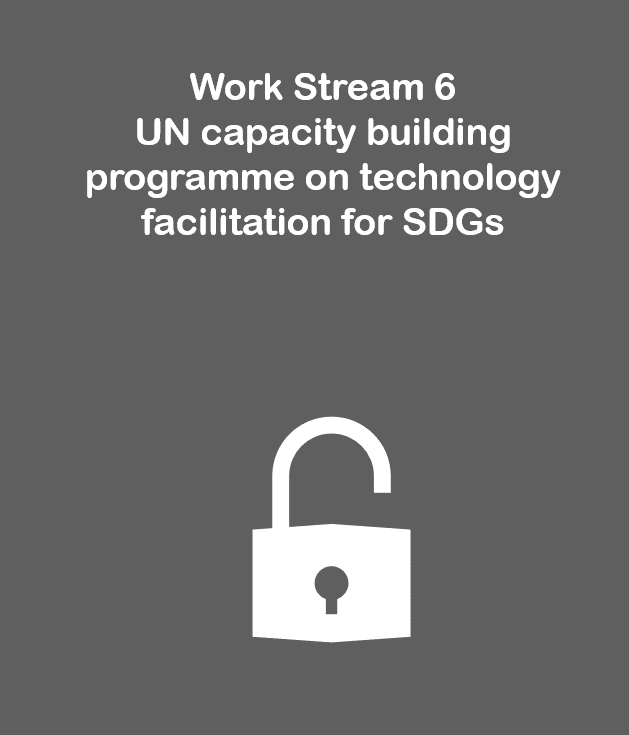 Work Stream 6: UN capacity building programme on technology facilitation for SDGs