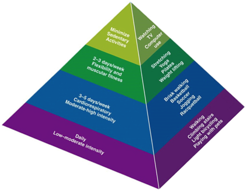 Where On The Physical Activity Pyramid Do Lifestyle Activities Belong