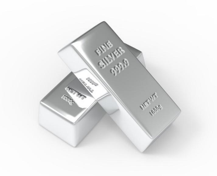 A close-up of silver bars

Description automatically generated with low confidence