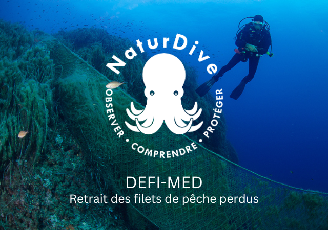 NaturDive - Projet DEFI-MED