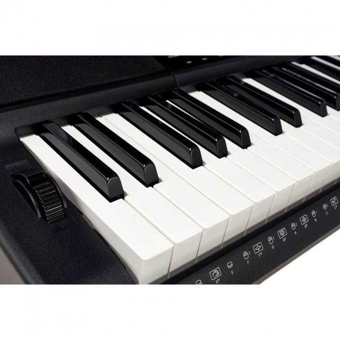 Casio CT-X800 và Roland E-X20A. Hai cây đàn keyboard này có khá nhiều điểm tương đồng và đều có mức giá khá dễ chịu chỉ dưới 7 triệu đồng