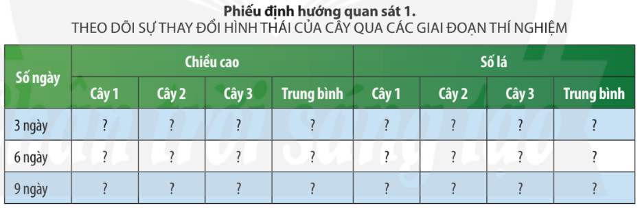 Giải KHTN 7 Bài 36: Thực hành chứng minh sinh trưởng và phát triển ở thực vật, động vật Chân trời sáng tạo