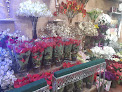 Florists in Cairo
