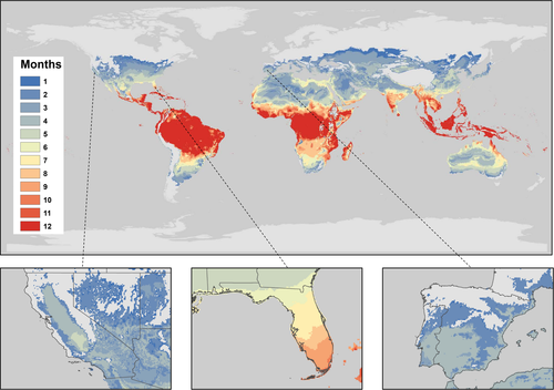 Mapa mundi demonstrando o número de meses do ano com temperaturas adequadas à ocorrência do greening em citros.