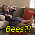 How To #Savethebees