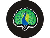 https://lh6.googleusercontent.com/BA5eLnJLwWihFSE86SPXzAI4gea0N9lHvxUvXE5hgq_5CiocbK8Vd7IBKBDW6twIlnr-S1OXbMfl2aGQYNHpswwvdMdnRlYQSEEkpPSda8-K-oMN9gY7Hk0Dj71WH_U8abocza3ZRBKAjq1bpw