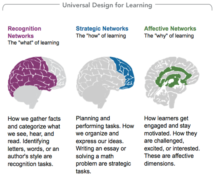 Universal Design for Learning - Impact of Special Needs