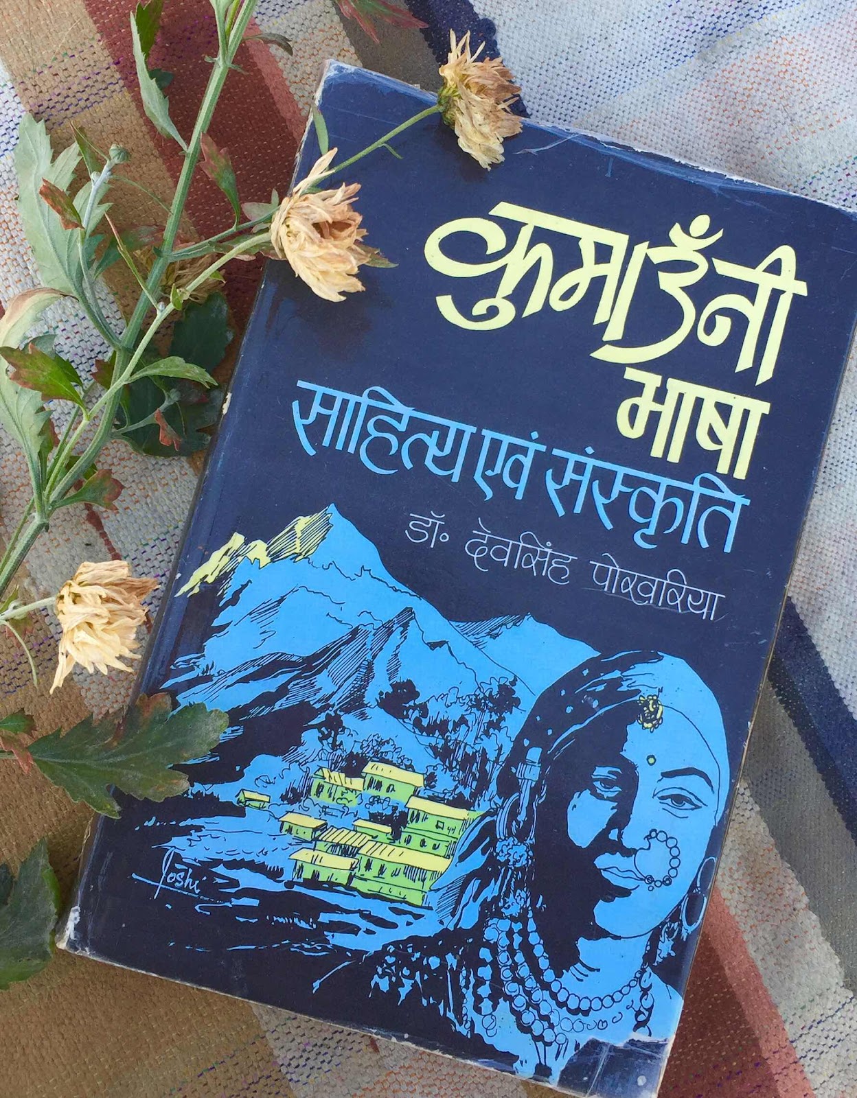 चित्र