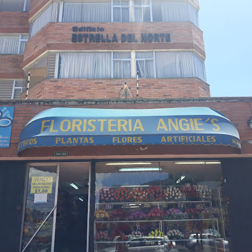 Opiniones de Floristería Angie's en Quito - Floristería
