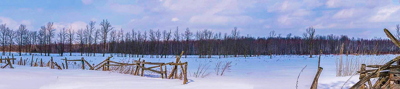Pano - Winter Scene