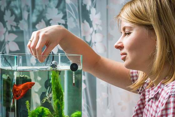 Chia khẩu phần ăn phù hợp cho mỗi lần ăn
