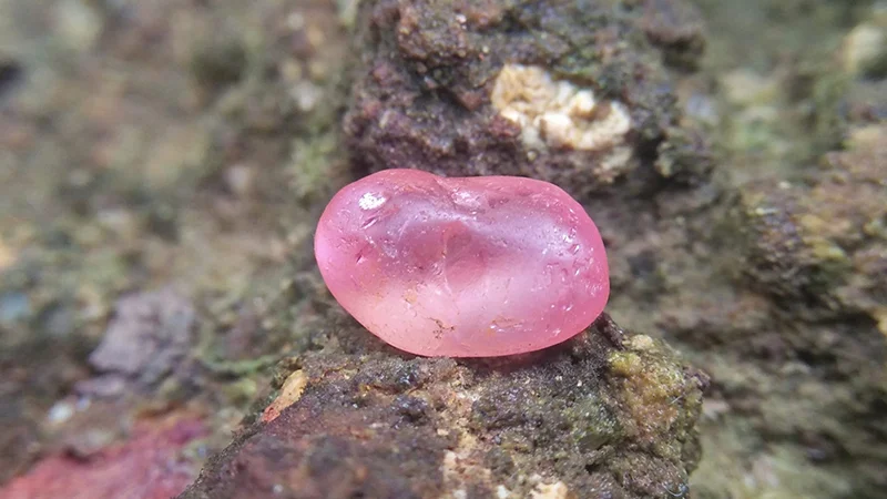 Sri Lanka’s Padparadscha pink sapphire  rough stone