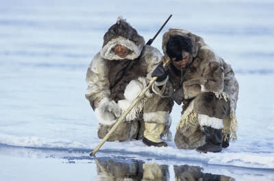 016_indigenous_knowledge_use.jpg