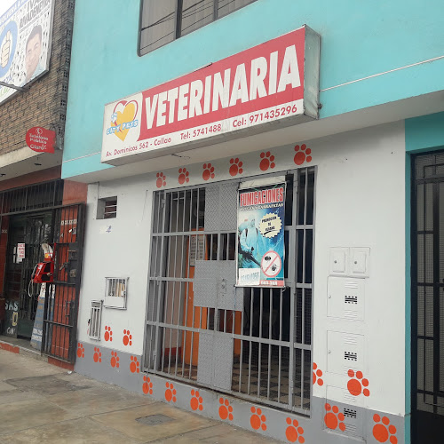Opiniones de City Pets en Callao - Veterinario