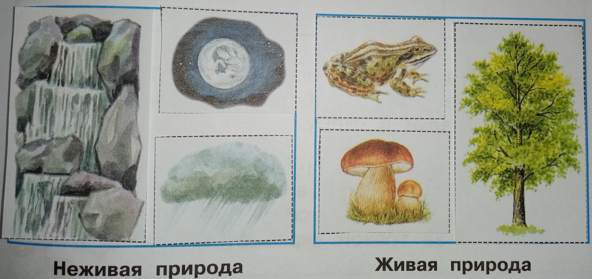 Живая и неживая природа 2 класс окружающий мир проверочная работа