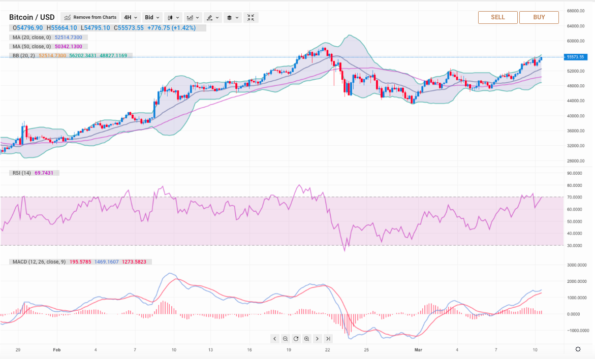 Best Cryptocurrencies To Invest In Spring 2021 From Bitcoin To Polkadot