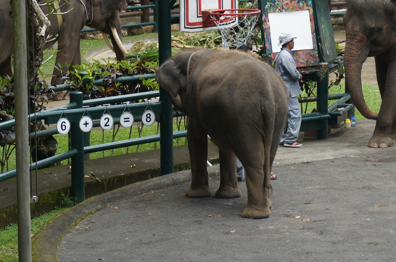 034966014-big.jpg