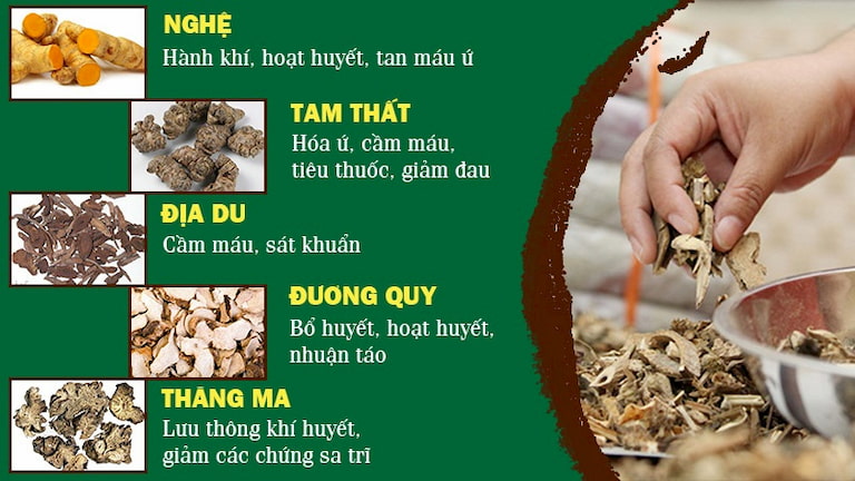Một số loại thảo dược trong bài thuốc