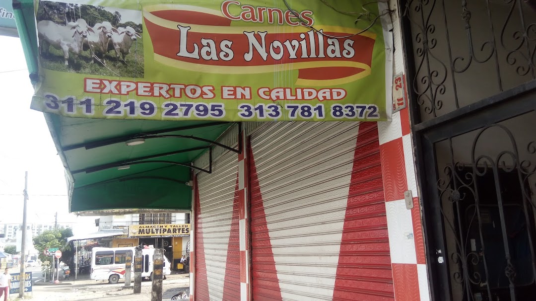 Las Novillas