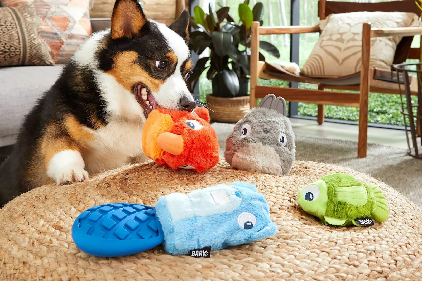 An example of dog toy advertising