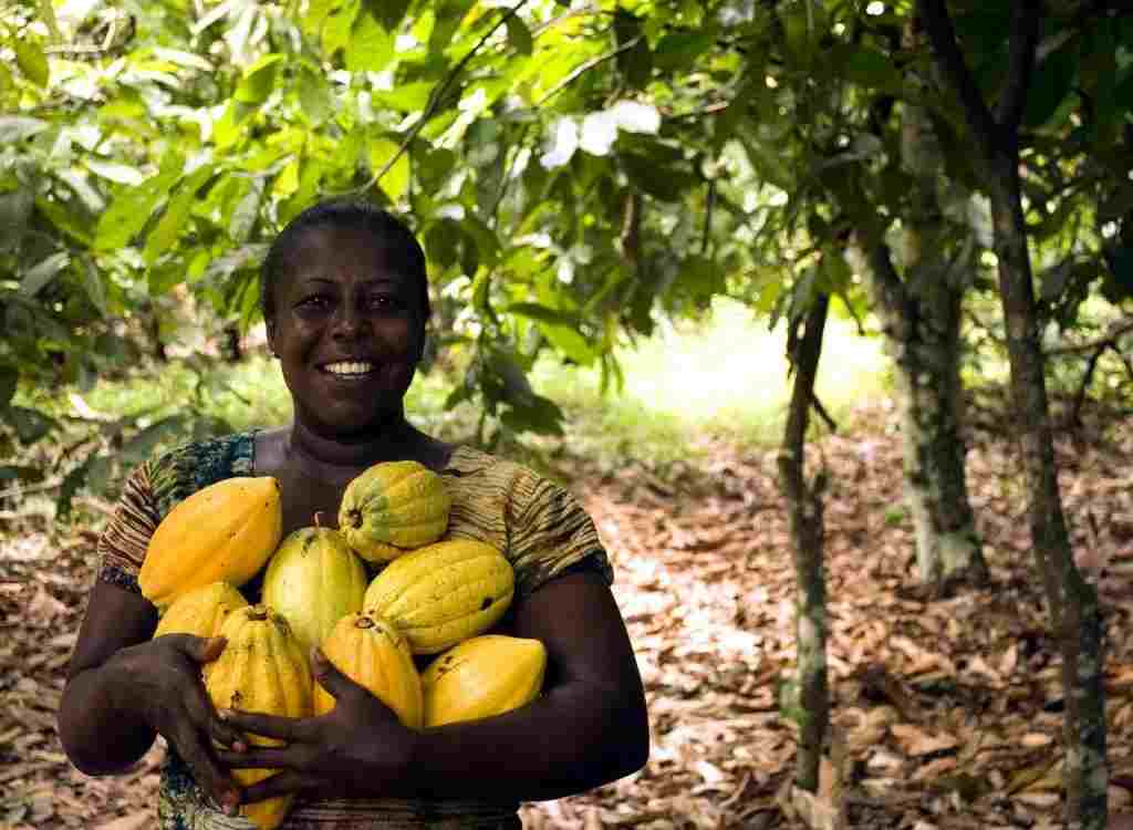 A woman on a cocoa farm.
