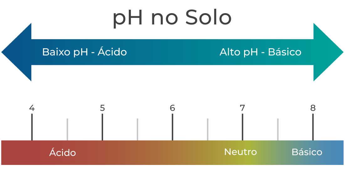Ilustração do pH do solo