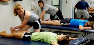 Image result for physical therapist education and training