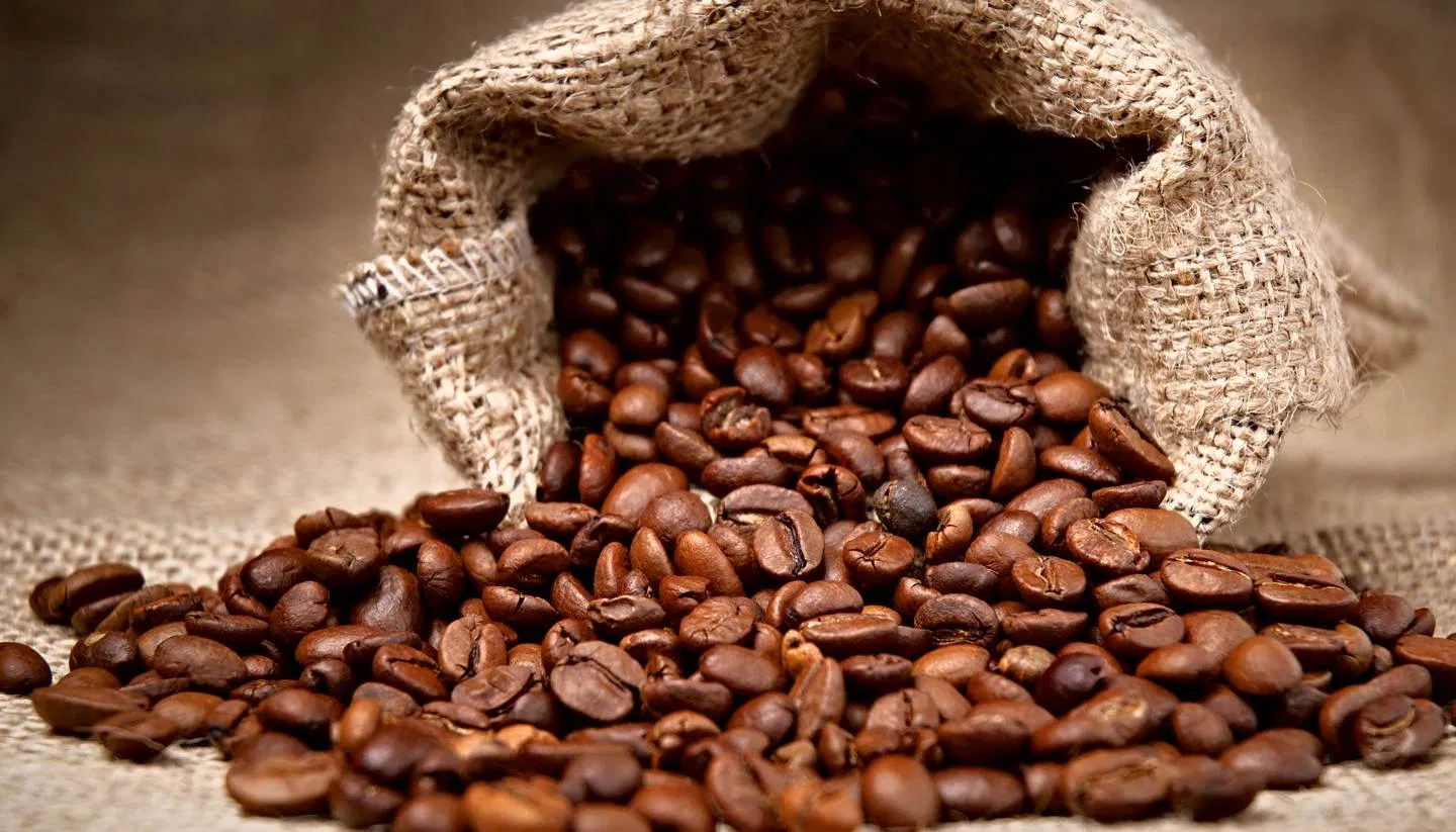 A Definitive Guide To The Four Main Types Of Coffee Beans