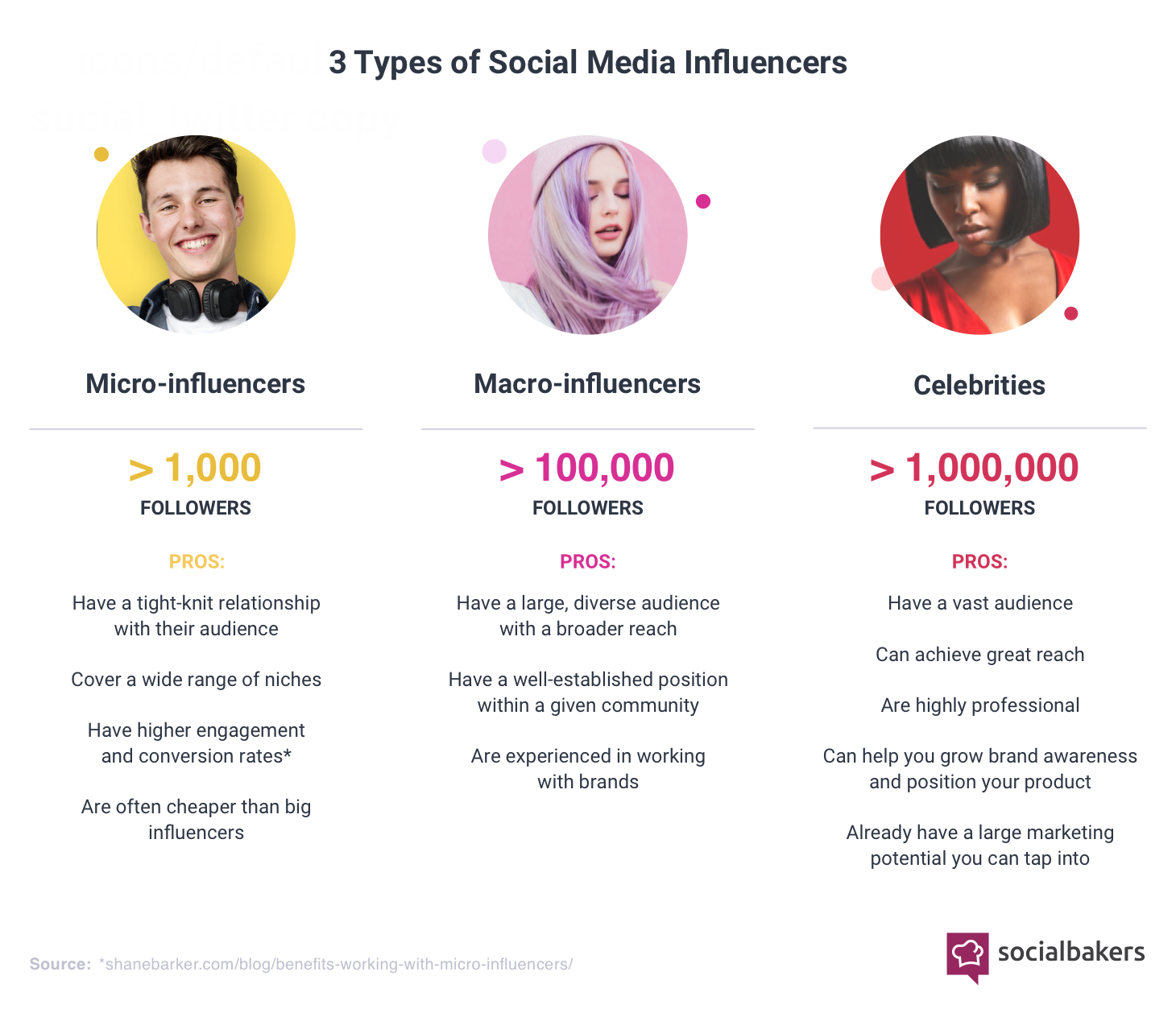 An infographic that details the three different types of social media influencers. 