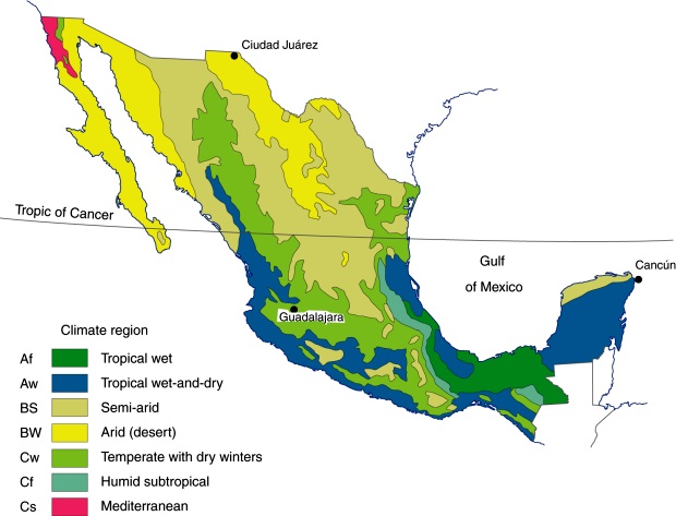 Mexico is a large country, and the weather can vary a lot. Before you move to Mexico, take some time to explore different areas. 