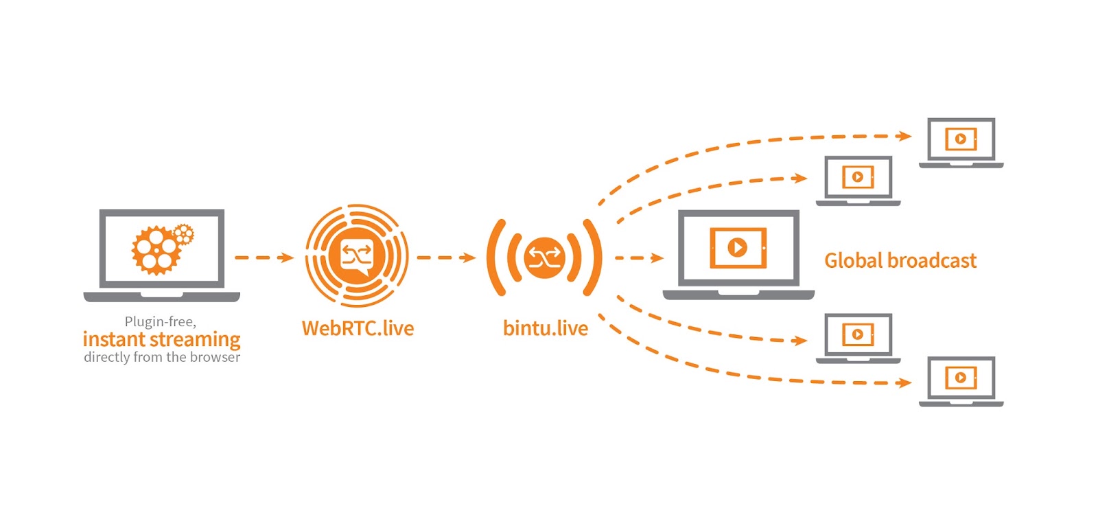 Broadcast Schema.jpg