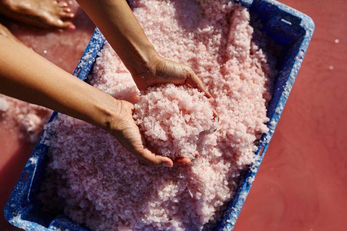 A blue bucket full of pink salt sits underneath hands holding some of the product. 