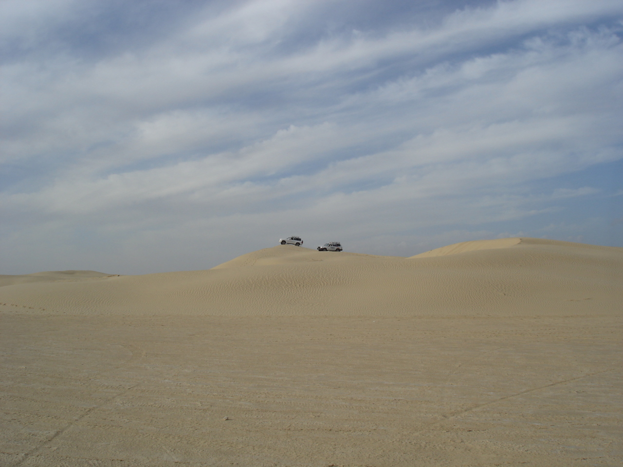 036541544-big.jpg