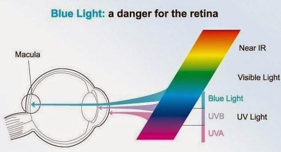 Image result for macula harmful uv light