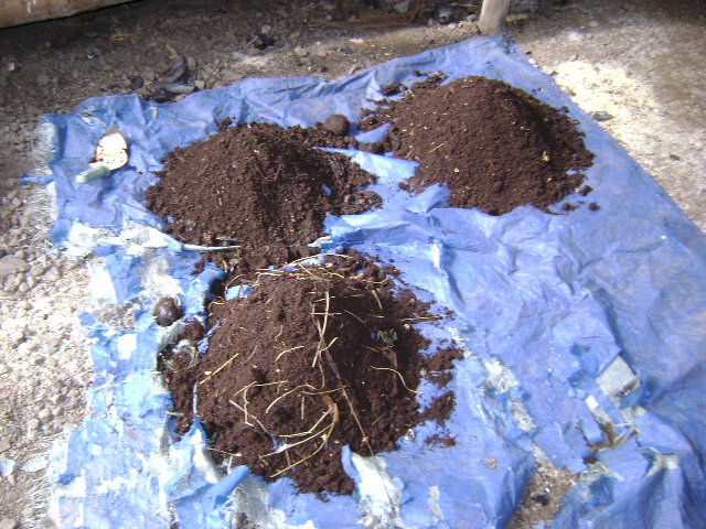 What is Vermicompost? Benefits, Uses, and How to Prepare It