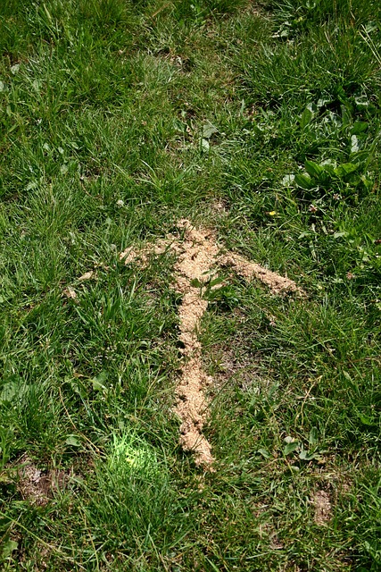 Arrow pointing paths to find object for scavenger hunt which is one of the classic camping games