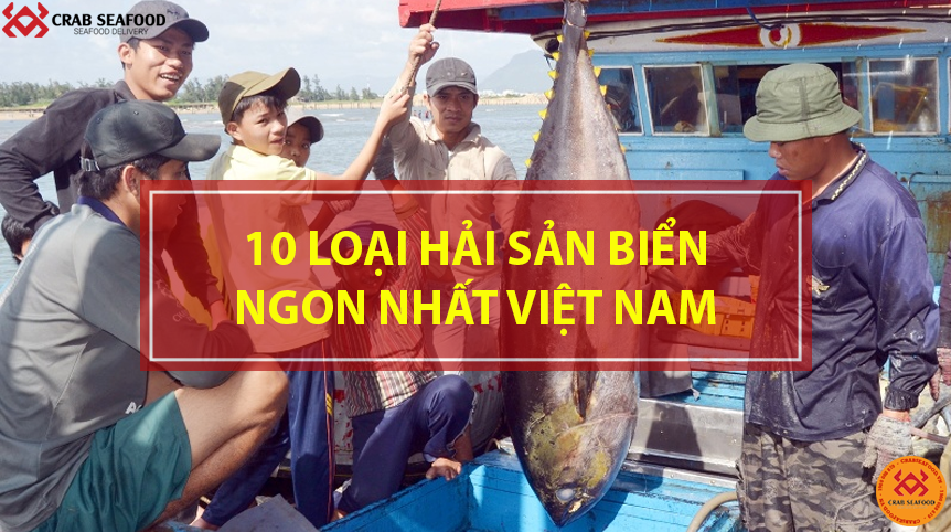 Hải sản biển ngon nhất Việt Nam