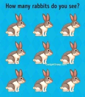 "How Many rabbits can see"  math Puzzle answer