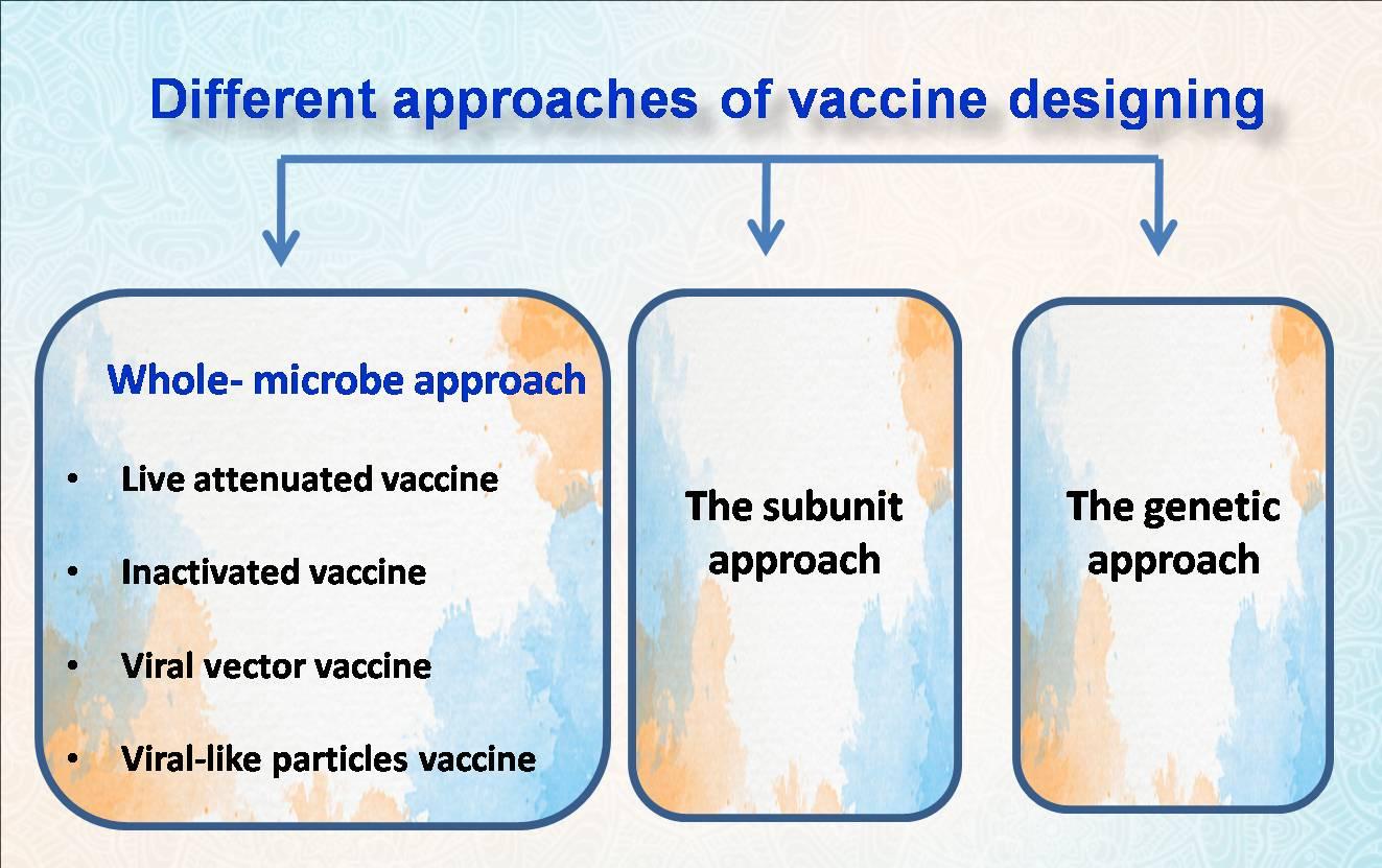 vaccin desing.jpg