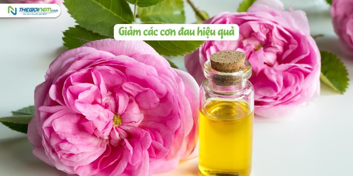 Tinh dầu hoa hồng | Những lợi ích trên cả tuyệt vời với sức khỏe