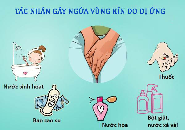 Nguyên nhân gây ngứa vùng kín và cách điều trị 2 Nguyên nhân gây ngứa vùng kín và cách điều trị 2