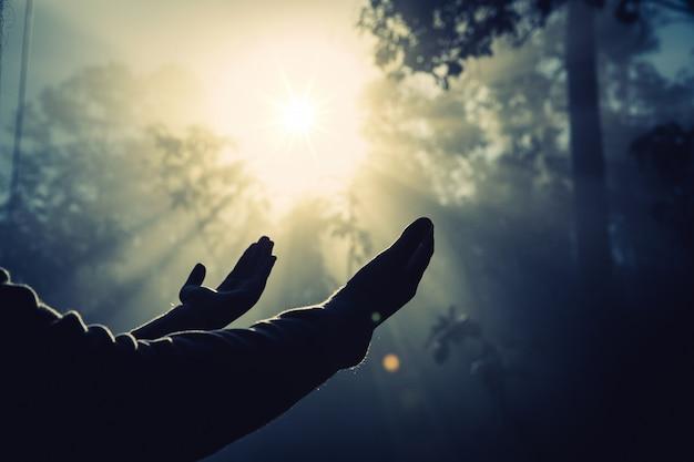 Teenage girl with praying in sunny nature. Free Photo