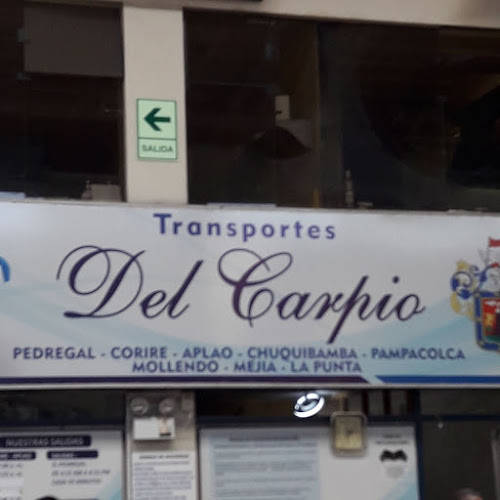 Transportes Del Carpio - Servicio de transporte