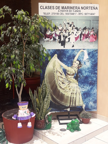 Opiniones de Pasión y Tradición en Arequipa - Escuela de danza