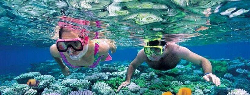 Plongée pour observer les récifs de corail