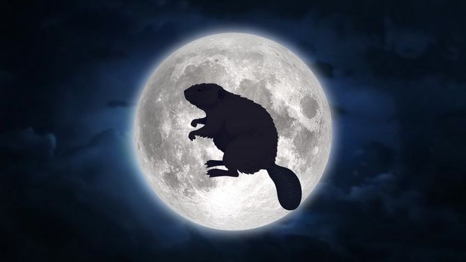Beaver Moon - Vollmond November 2021 5