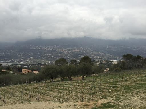 Château de Bellet, organic winemaking in Bellet, near Nice - Sustainable  Wine