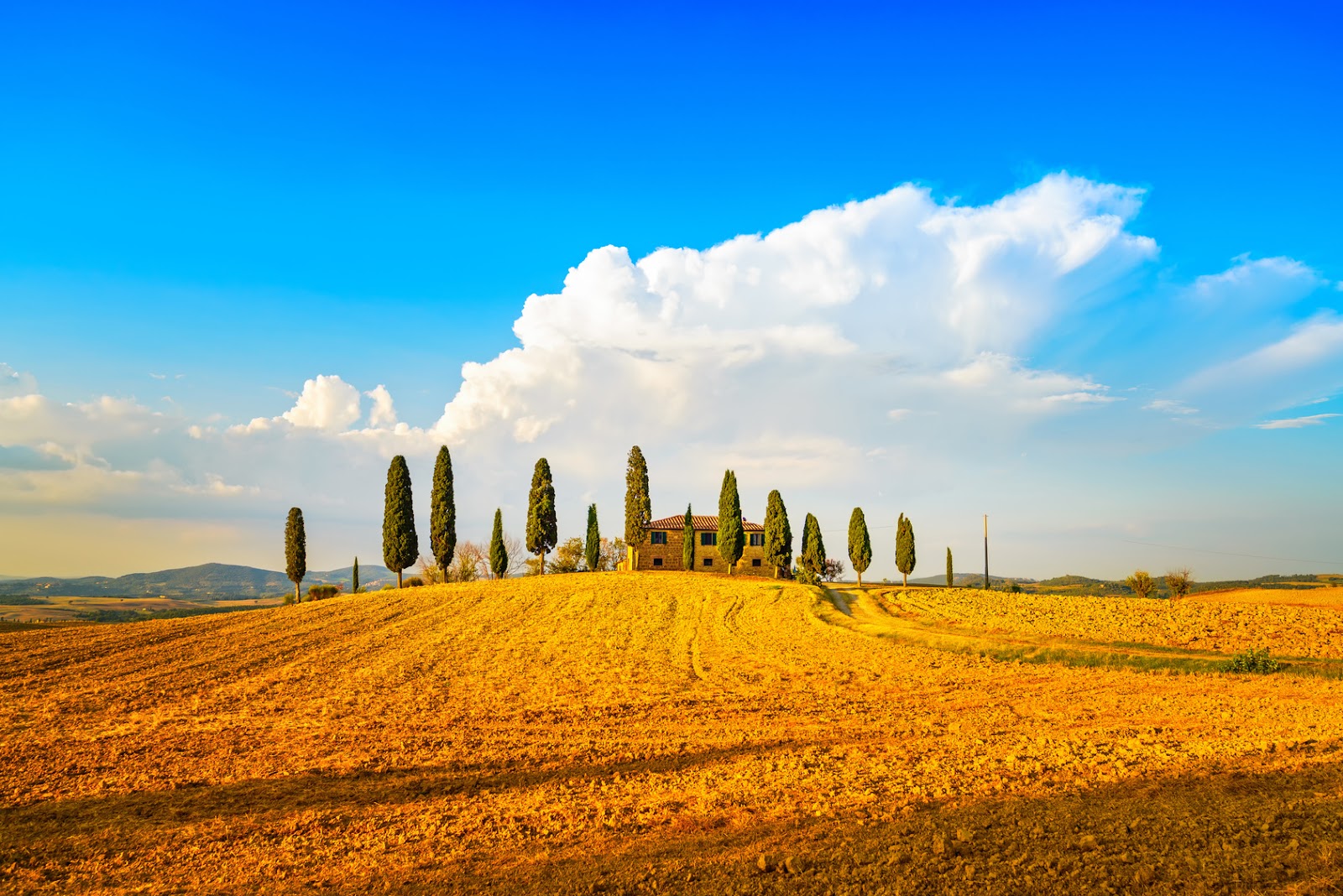 tuscany valle d'orcia.jpg