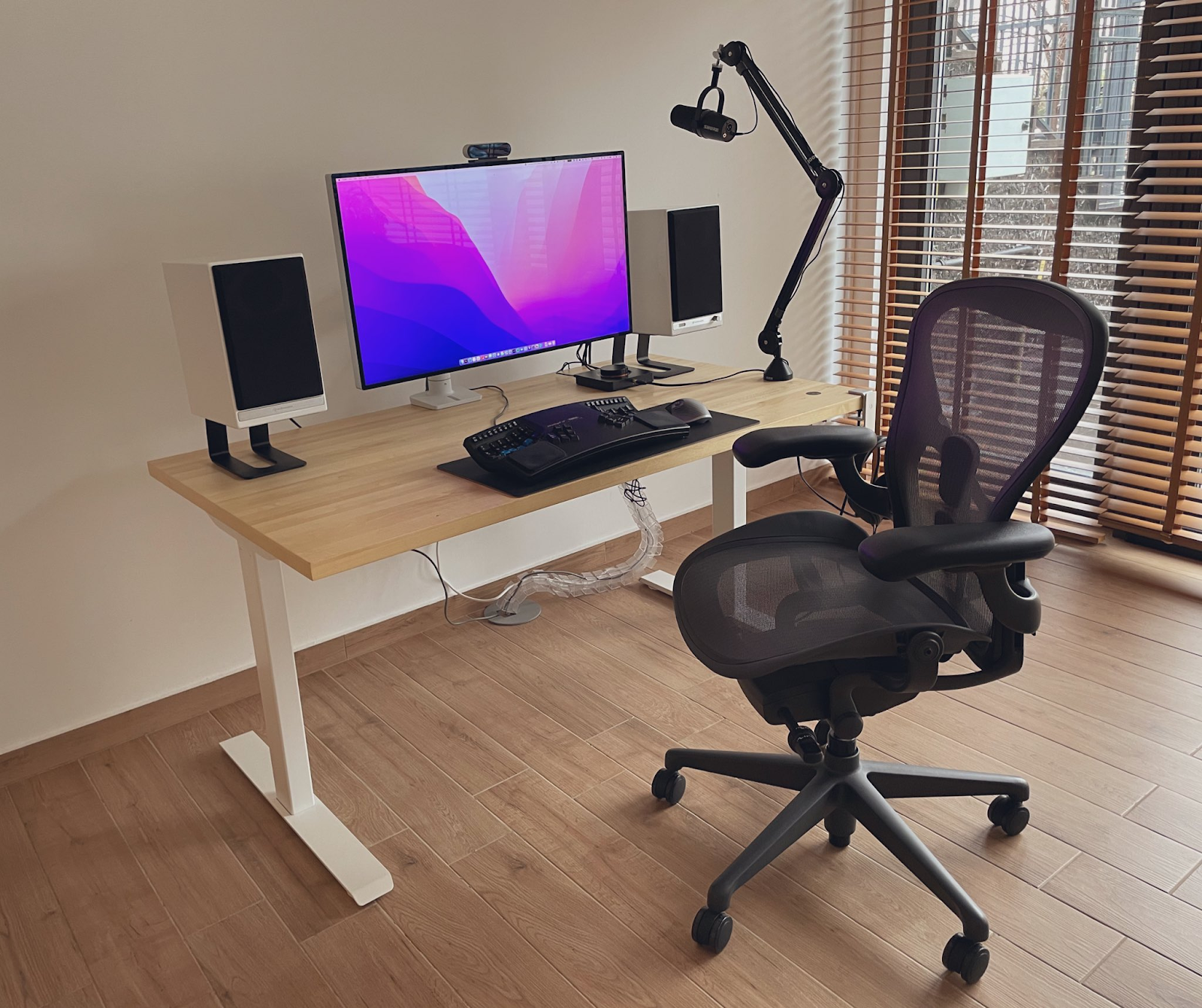 Ergonomic Modern Home Office Desk Setup
