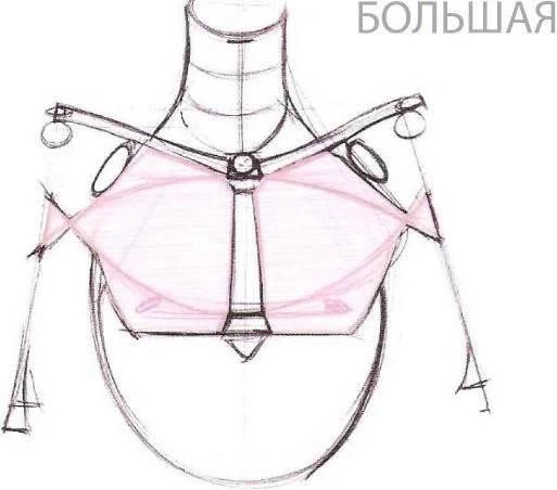 https://lh3.googleusercontent.com/ldU4_yaieIi6voHgG2nagqzXJuqASnlC1oaasBrJEaFEnjz99VKhOnuqOL6w0XgqtoE1tfKbSV4XvZEmcCbEB2OaLFpR-ekBDJH6dO03zz4pYmvUgxJx5XKuT0UkhPugYHrw1P3D2anHJ9v4xqzO